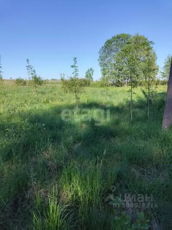 Участок в Псковская область, Печорский муниципальный округ, д. ... - Фото 1