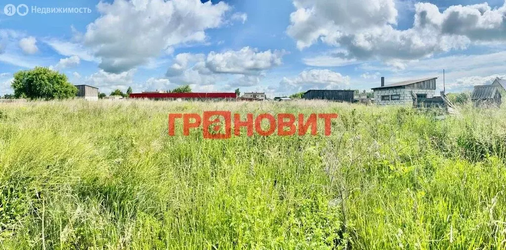 Участок в Новый Шарап, Лесная улица, 26 (20 м) - Фото 0