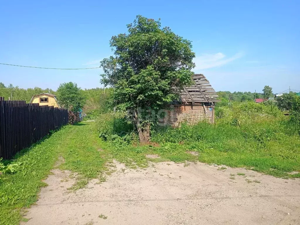 Участок в Томская область, Томск Мебельщик садовое товарищество,  (2.1 ... - Фото 1