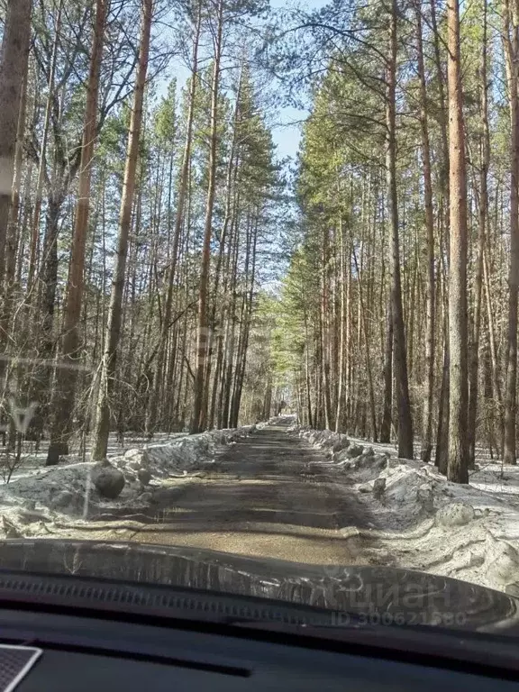 Дом в Кемеровская область, Топкинский район, Локомотив СНТ  (90 м) - Фото 0