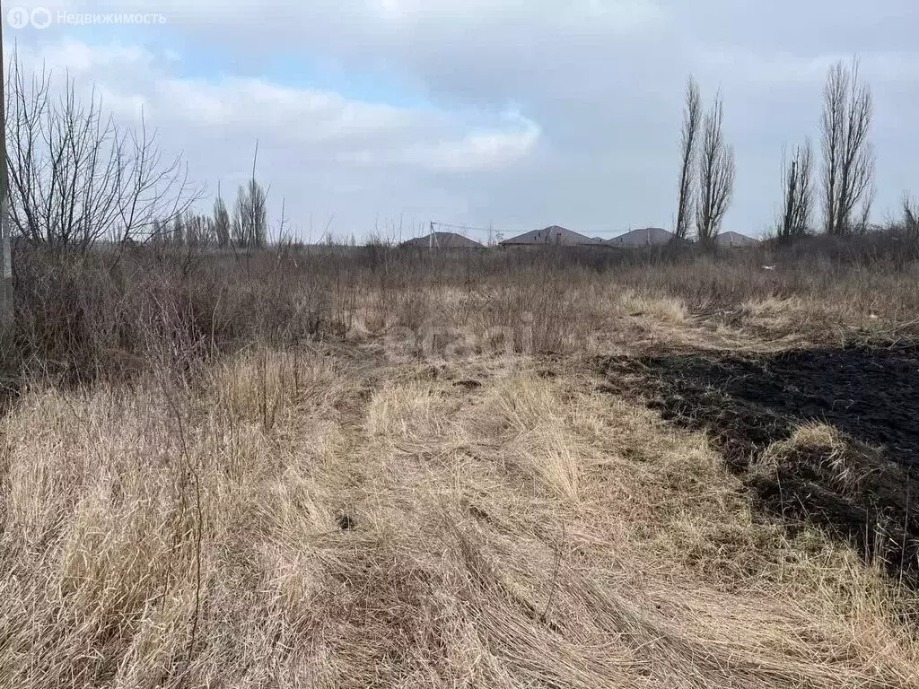Участок в село Репное, 2-я Центральная улица (26.2 м) - Фото 1