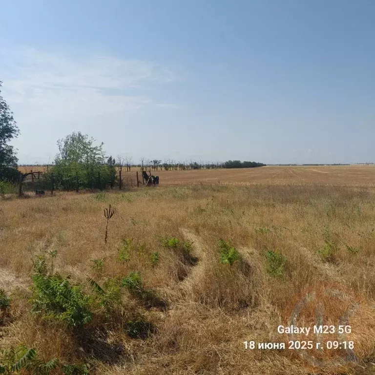 Участок в Крым, Черноморский район, с. Новоивановка  (6.24 сот.) - Фото 1