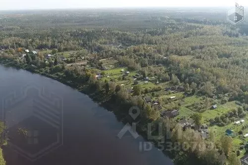 Участок в Новгородская область, Новгородский район, Бронницкое с/пос, ... - Фото 1