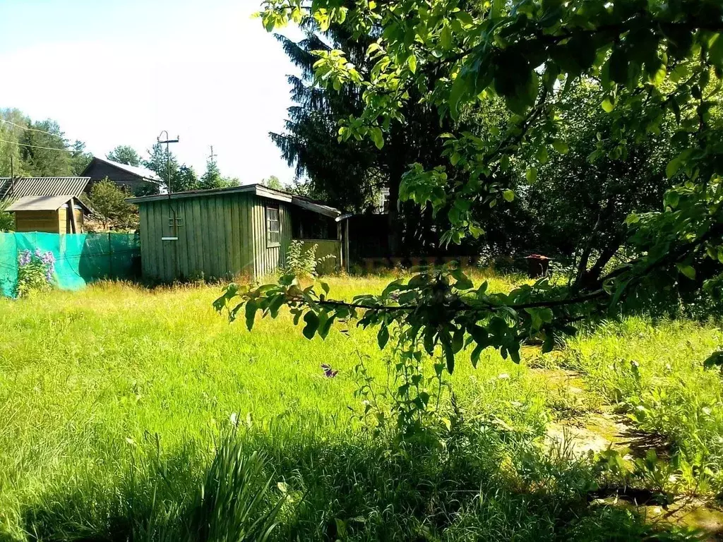 Дом в Ленинградская область, Выборгский район, Рощинское городское ... - Фото 1