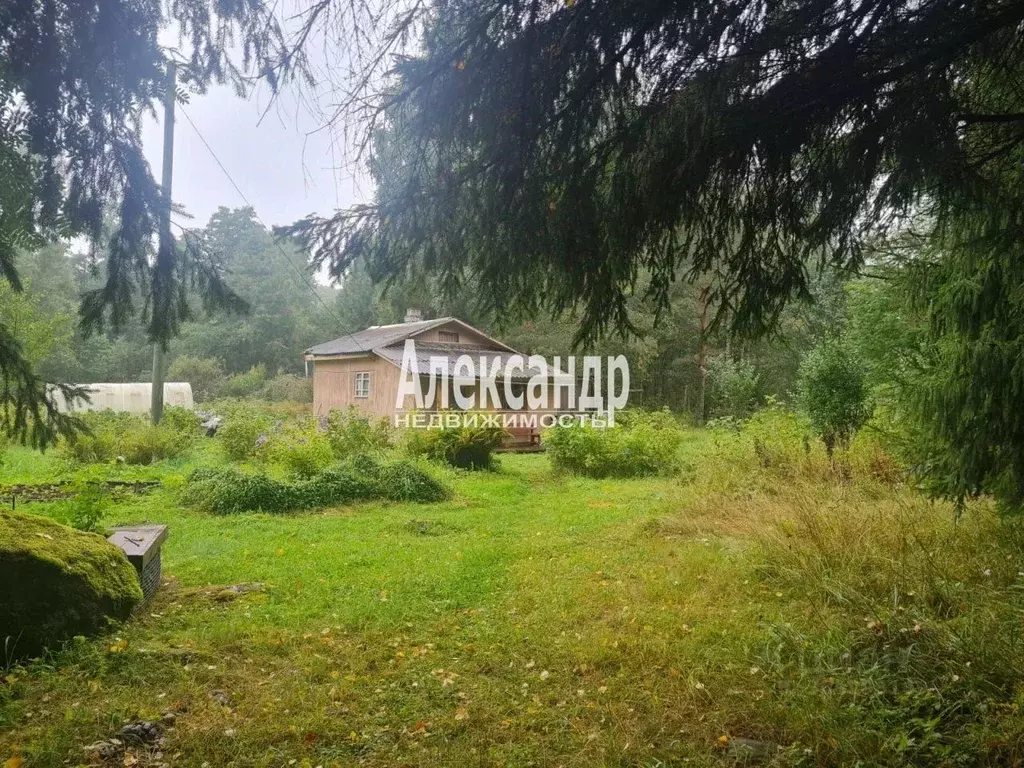 Участок в Ленинградская область, Приозерский район, Мельниковское ... - Фото 1