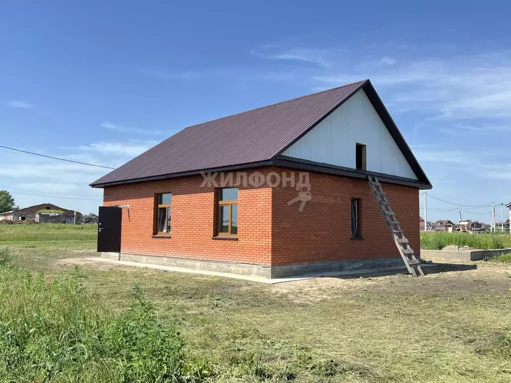 Дом в Новосибирская область, Новосибирский район, Толмачевский ... - Фото 1