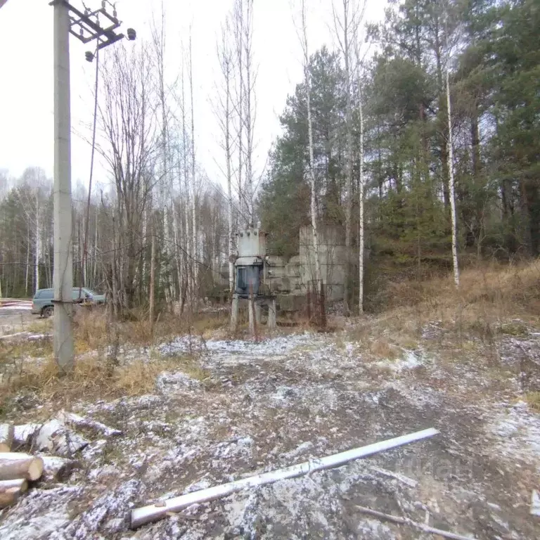 Участок в Костромская область, Шарьинский район, Зебляковское с/пос, ... - Фото 1