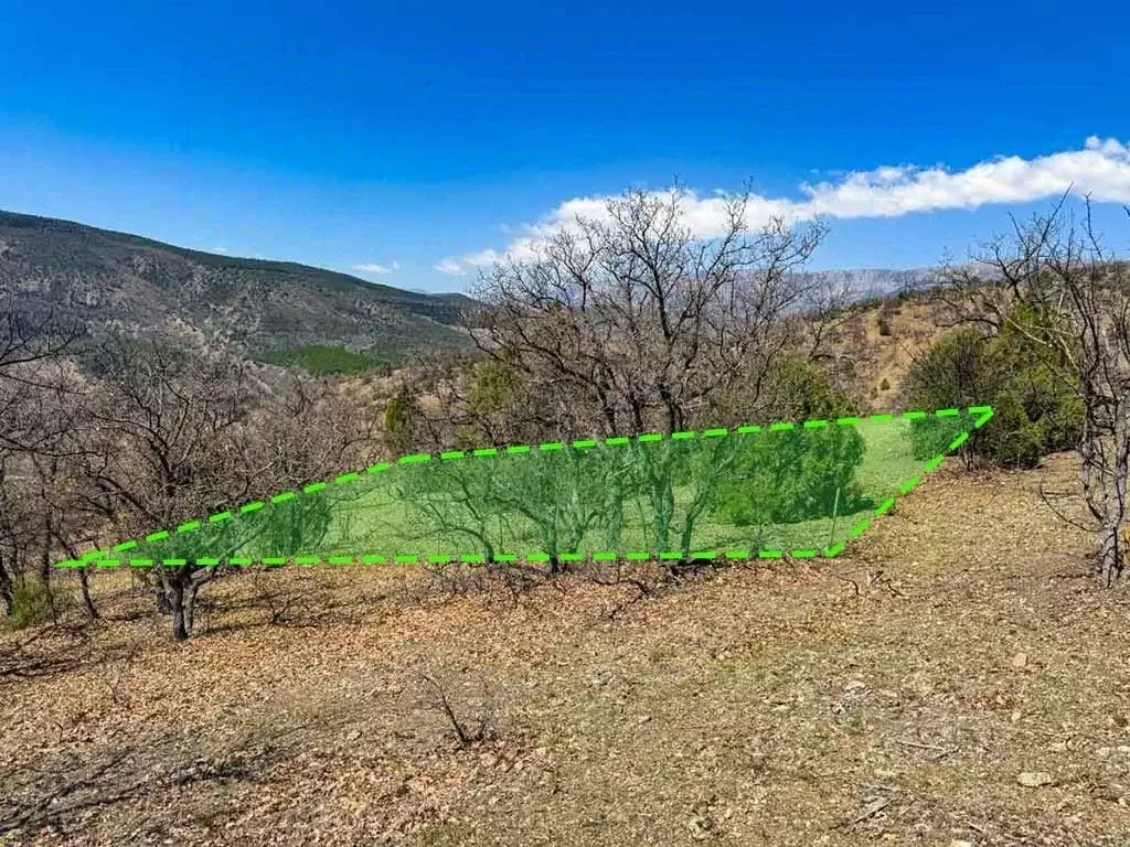 Участок в Крым, Алушта муниципальный округ, с. Приветное  (5.0 сот.) - Фото 1