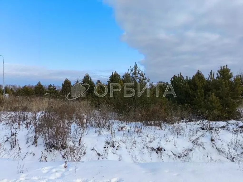 Участок в Тюменская область, Тюменский район, Априори кп  (8.0 сот.) - Фото 1