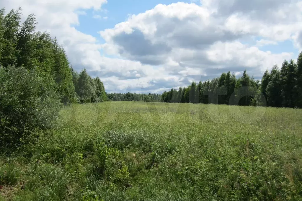 Участок 8000 га (СНТ, ДНП) - Фото 0