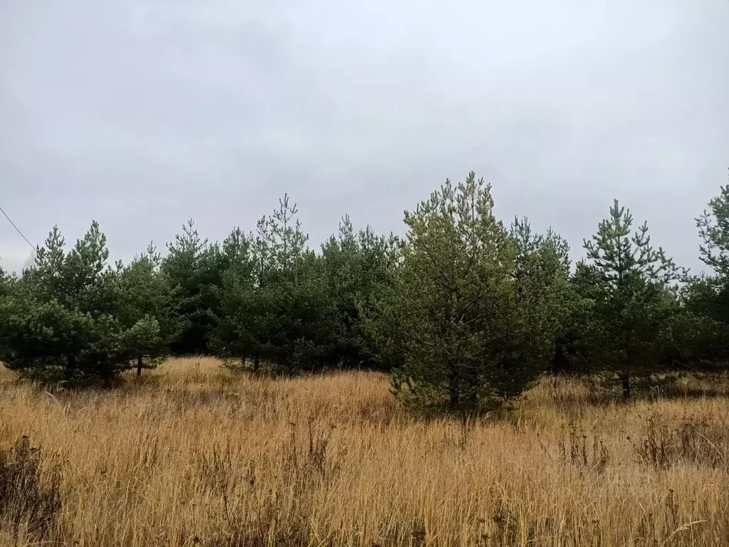 Участок в Московская область, Егорьевск городской округ, д. Малое ... - Фото 1