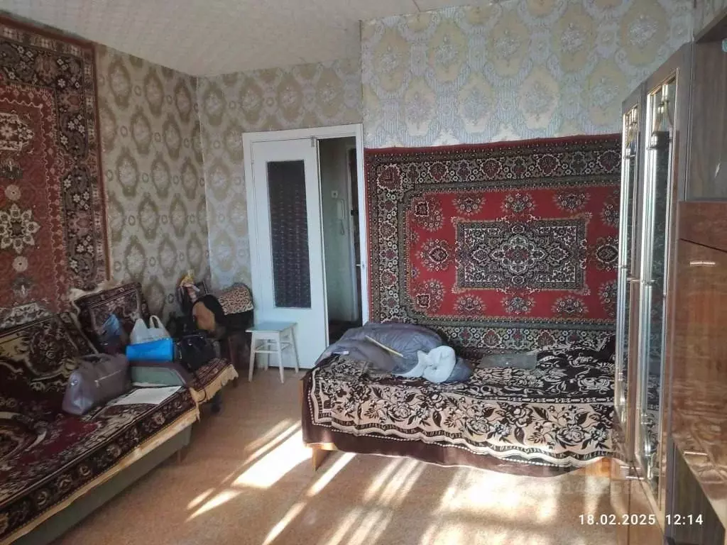 1-к кв. Нижегородская область, Нижний Новгород Мещерское Озеро ... - Фото 1