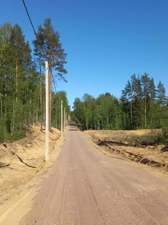 Участок в Ленинградская область, Всеволожский район, Токсовское ... - Фото 1