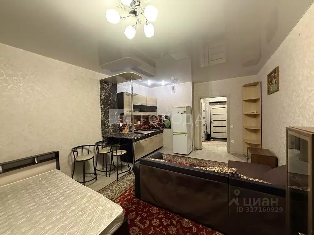 Студия Новосибирская область, Новосибирск ул. Костычева, 40/3 (30.0 м) - Фото 1