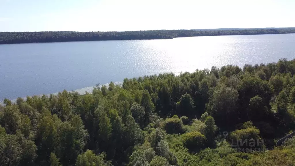 Участок в Карелия, Сортавальский муниципальный округ, пос. Пуйккола  ... - Фото 2