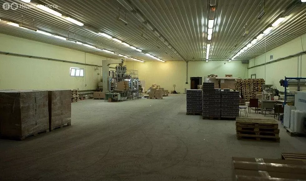 Склад (2000 м) - Фото 2