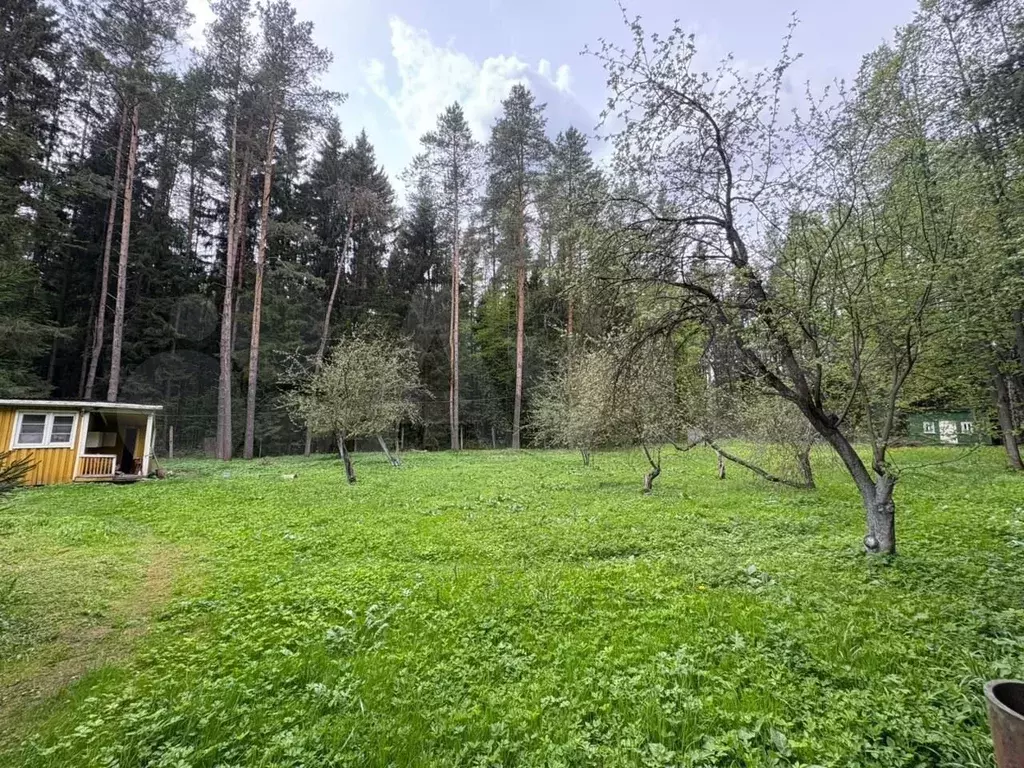 Участок 20 сот. (СНТ, ДНП) - Фото 0