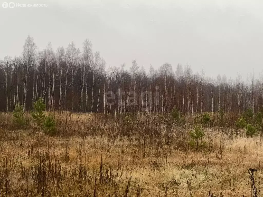 Участок в Шигалеевское сельское поселение, село Новое Шигалеево (8.85 ... - Фото 1