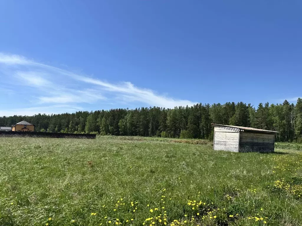 Участок в Свердловская область, Полевской муниципальный округ, с. ... - Фото 1