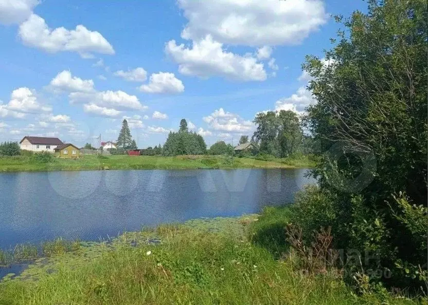 Участок в Карелия, Олонецкое городское поселение, д. Рыпушкалицы  ... - Фото 0