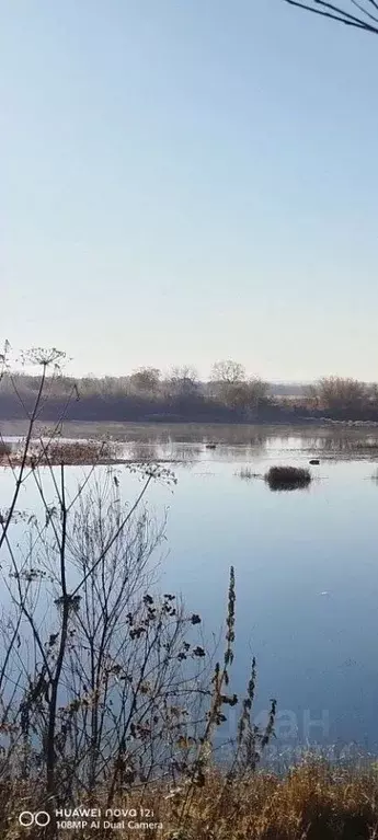 Участок в Пермский край, Чусовской муниципальный округ, д. Копально ... - Фото 0