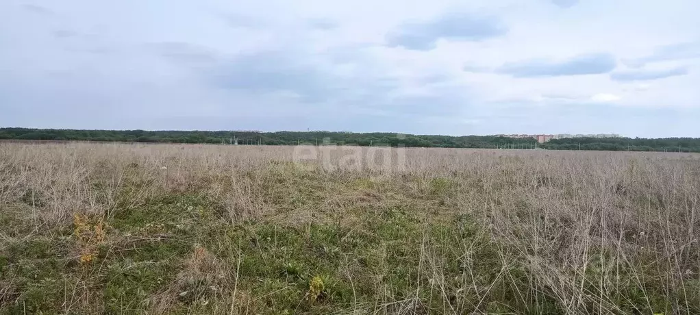 Участок в Воронежская область, Семилукский район, с. Девица, Поречье-2 ... - Фото 1