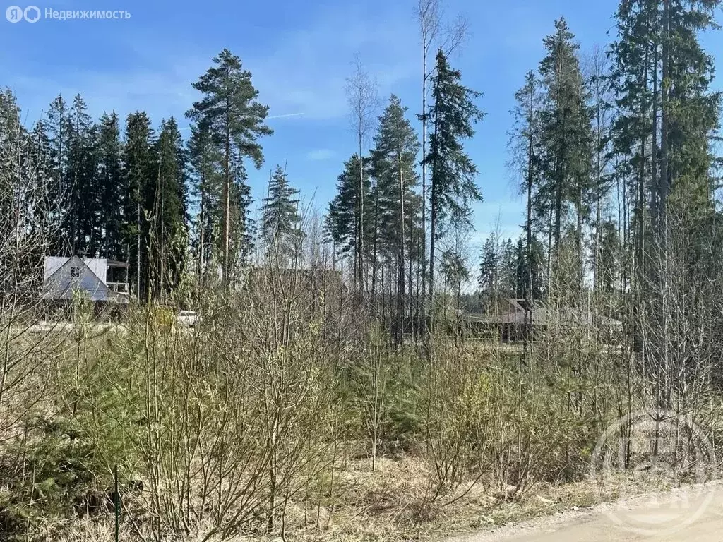 Участок в Сертолово, СНТ Медное Озеро-3 (6.78 м) - Фото 2