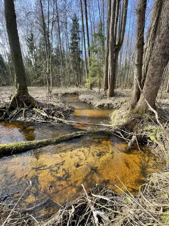 Участок в Тверская область, Конаковский муниципальный округ, Тверское ... - Фото 0
