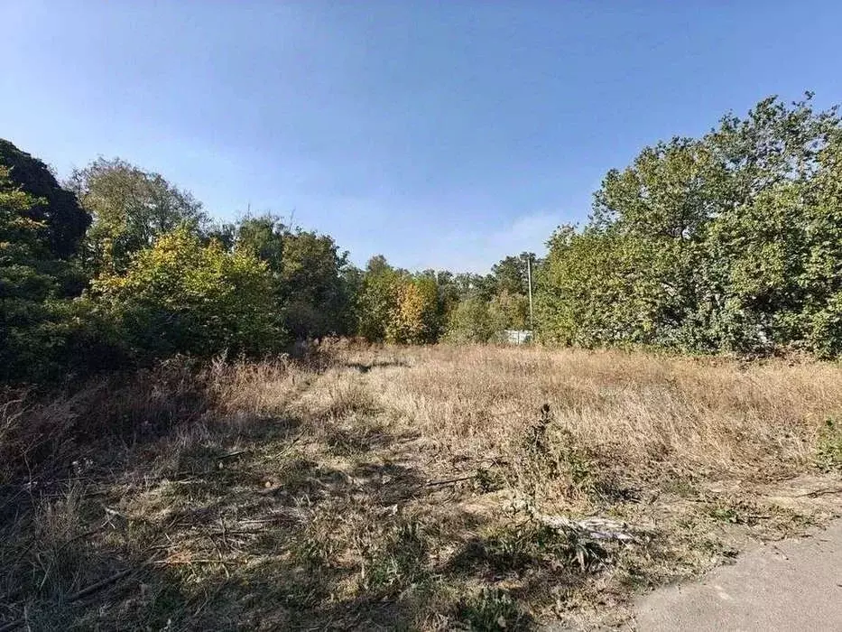 Участок в Белгородская область, Белгородский район, Тавровское с/пос, ... - Фото 0