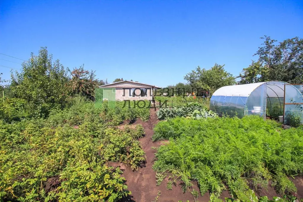 Дом в Алтайский край, Барнаул тракт Змеиногорский, 107В/2 (100 м) - Фото 1