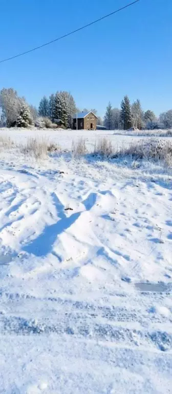 Участок в Ярославская область, Ярославский муниципальный округ, д. ... - Фото 1