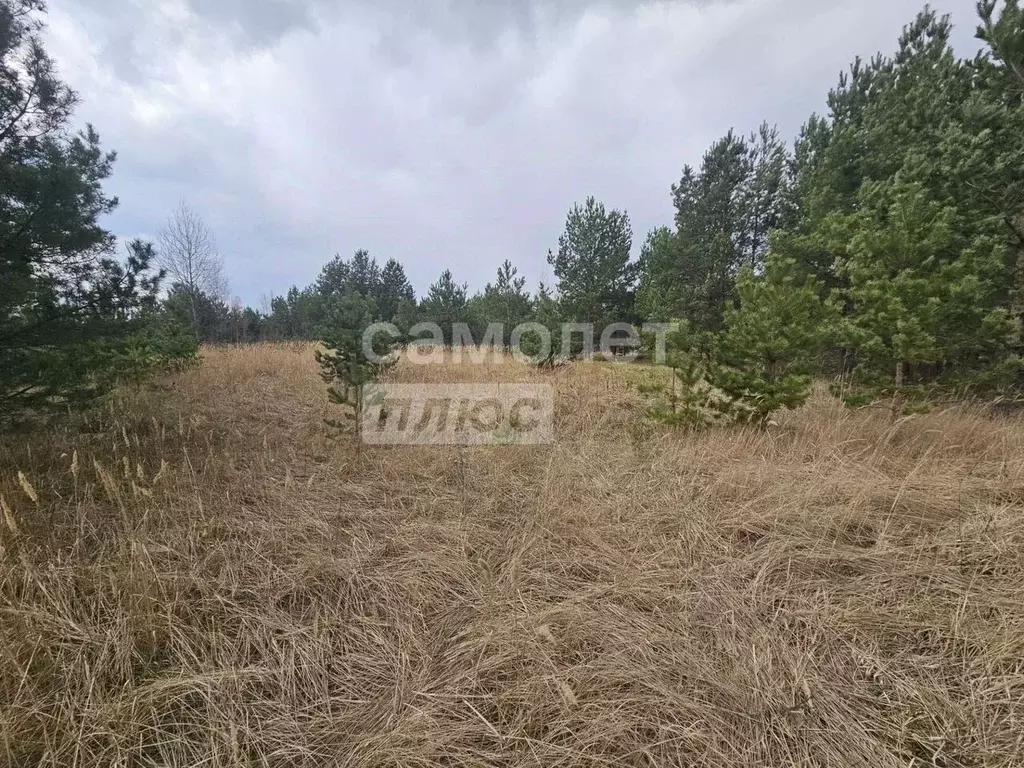 Участок в Воронежская область, Рамонский район, с. Новоживотинное  ... - Фото 1