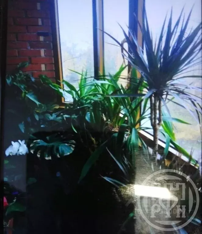 1-к кв. Санкт-Петербург 3-й Озерковский пер., 1к1 (36.1 м) - Фото 2