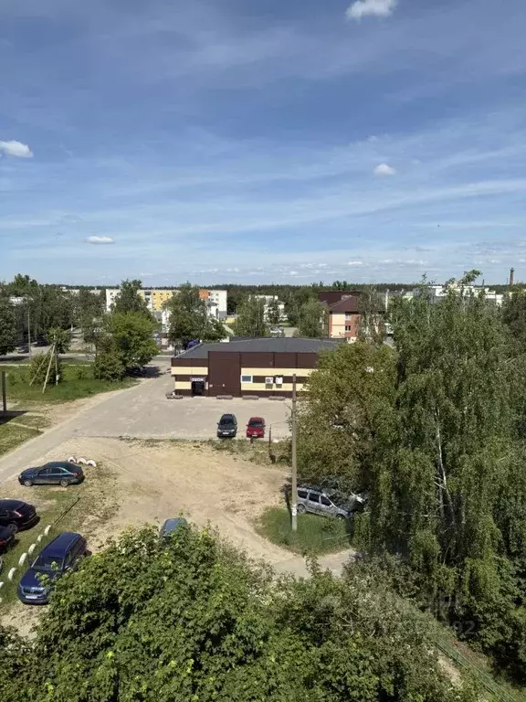 3-к кв. Нижегородская область, Володарский муниципальный округ, ... - Фото 2