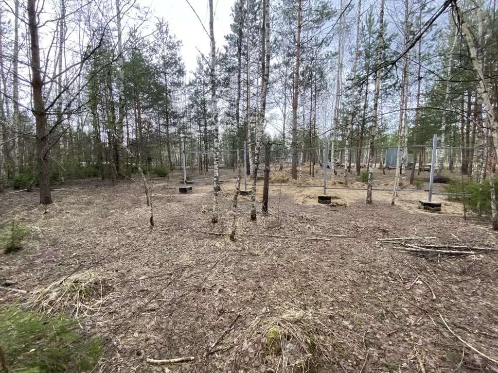 Участок в Московская область, Раменский городской округ, д. Дементьево ... - Фото 0