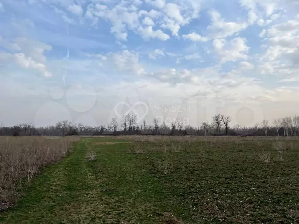 Участок 5,8 га (СНТ, ДНП) - Фото 0
