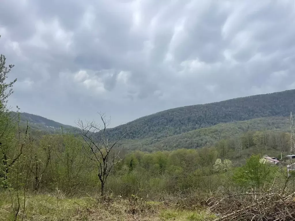 Участок в Краснодарский край, Сочи городской округ, с. Хлебороб  (6.0 ... - Фото 0