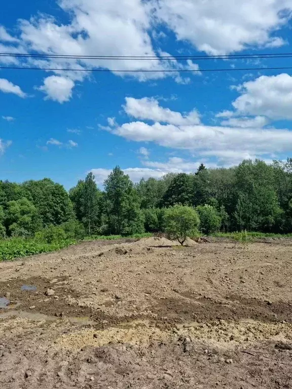 Участок в Ленинградская область, Ломоносовский район, Ропшинское ... - Фото 1