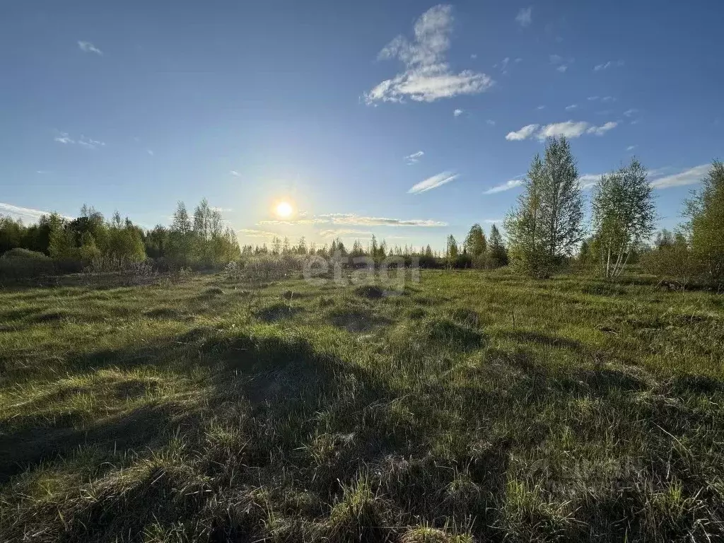 Участок в Тюменская область, Тюменский район, с. Борки  (11.4 сот.) - Фото 0