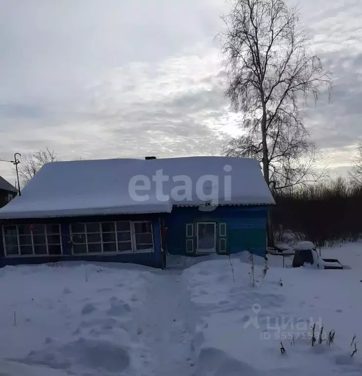 Дом в Кемеровская область, Анжеро-Судженск Озерный пер. (54 м) - Фото 0