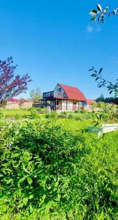 Участок в Смоленская область, д. Новое Левково  (25.0 сот.) - Фото 2