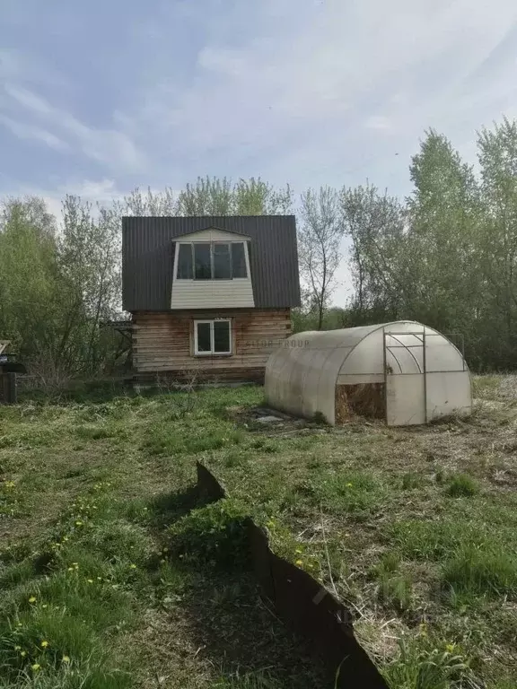 Дом в Алтайский край, Зональный район, с. Луговское ул. Калинина, 49 ... - Фото 1