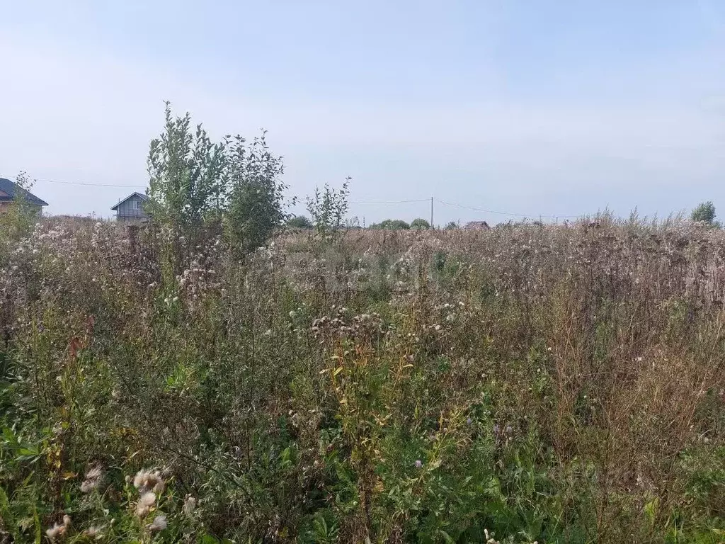 Участок в Вологодская область, пос. Ермаково ул. Александровская ... - Фото 1