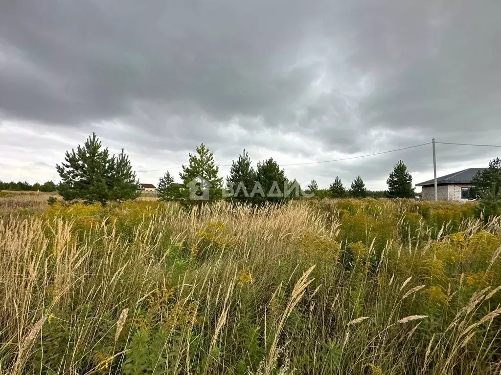 Участок в Татарстан, Нижнекамский район, Каенлинское с/пос, с. Борок ... - Фото 1