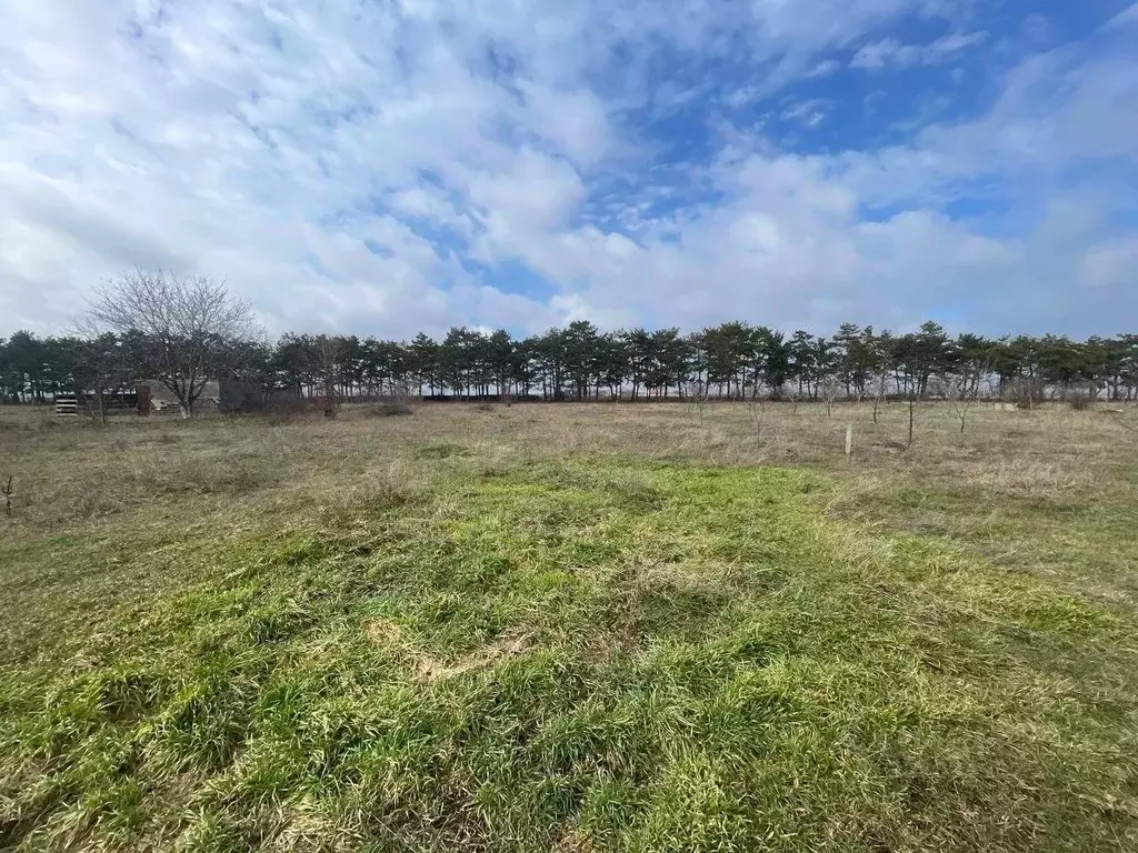 Участок в Крым, Кировский район, с. Абрикосовка ул. Сосновая (18.0 ... - Фото 1