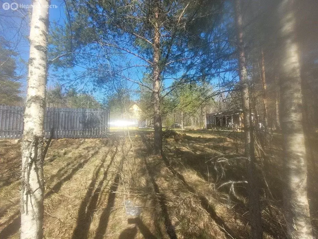 Участок в Лебяженское городское поселение, садоводческое ... - Фото 1