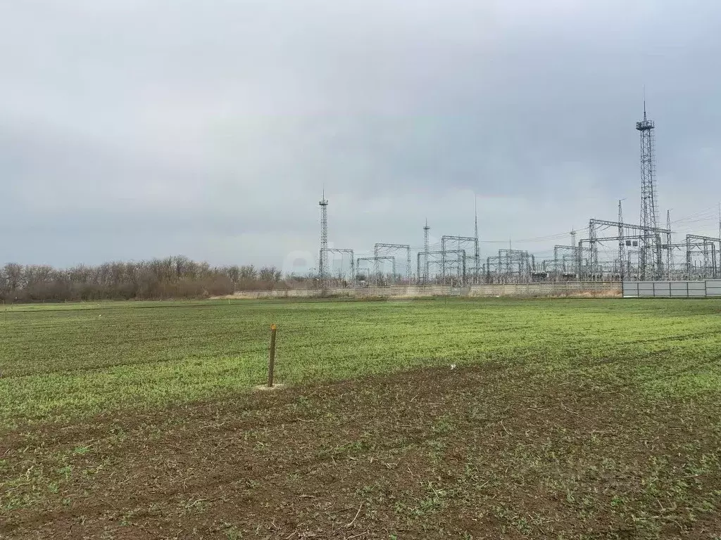 Участок в Ростовская область, Таганрог Андреевский жилой комплекс ... - Фото 1