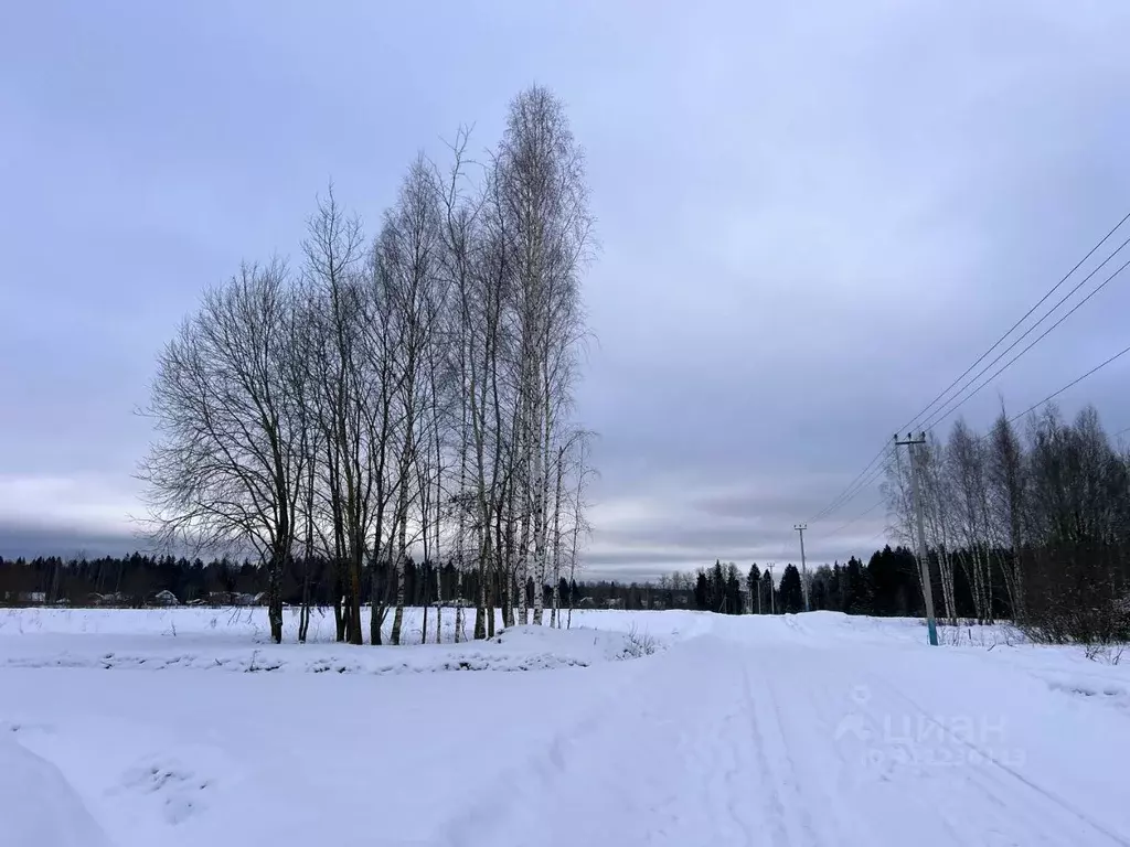 Участок в Московская область, Клин городской округ, Коськово кп  (6.0 ... - Фото 0