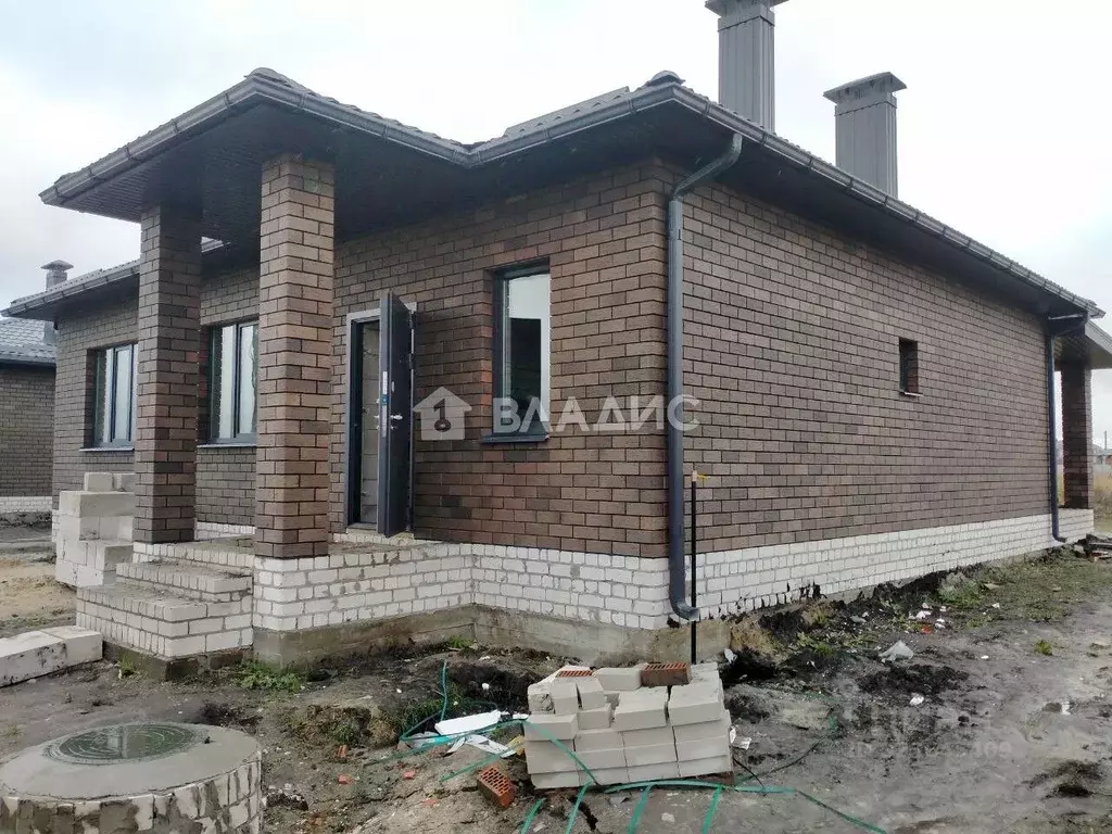 Дом в Воронежская область, с. Новая Усмань ул. Пожарского (113 м) - Фото 1