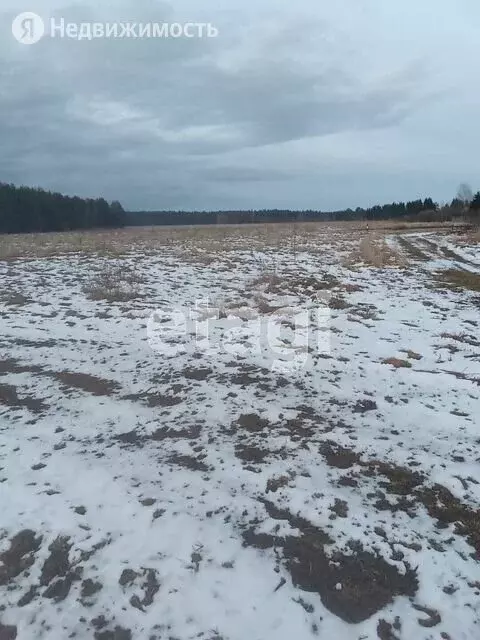 Снт Межурка Тверь Купить Дачу